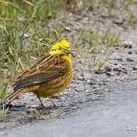 20260403-1001259600-Edit Millington